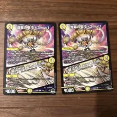 煙幕の聖沌　k3mur1 2枚セット