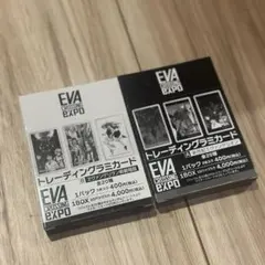 2025年最新】エヴァ博 ラミカードの人気アイテム - メルカリ