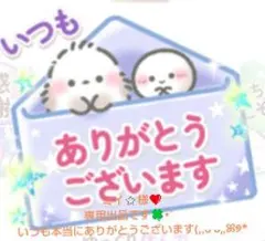ミイ⭐️様❤専用出品です✨