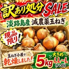 訳あり処分SALE⭐️淡路島産玉葱 L•LLサイズ5kg根・葉つき24時間以内発送のサムネイル