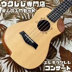 Donner DUB-1 Ukulele Bass - メルカリ