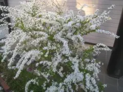 高橋保雄様 リクエスト 2点 まとめ商品