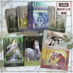 正規品】幻の品✨スターシードリラのホワイトライオンオラクルカード