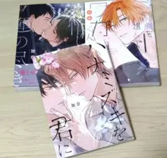 【商業BL漫画まとめ売り】