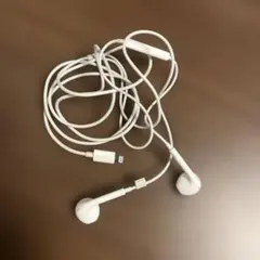 iPhone Apple純正 Lightningコネクタ 有線イヤホン ホワイト