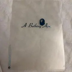 【レア】A Bathing Ape A4クリアファイルのサムネイル
