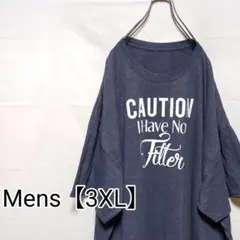 N14【US輸入】半袖Tシャツ【メンズ3XL相当】グレー