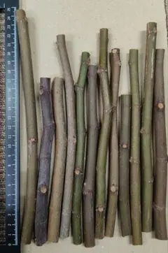 O-Green様 リクエスト 2点 まとめ商品