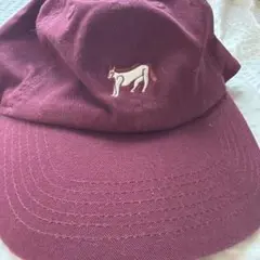 1ldk キャップ
