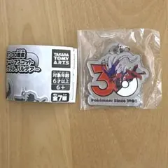 ポケモン 30周年 メタルチャームマスコット ミライドン コライドン