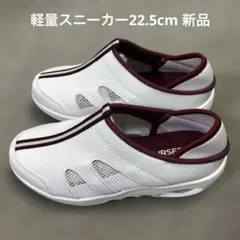 Item thumbnail for item 2d012623-51ed-480b-b443-e32eb7492212