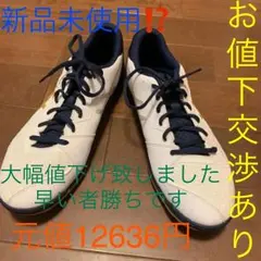 asicsシューズ