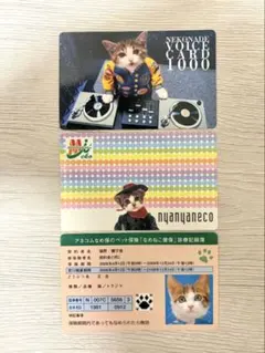 ☆【新品未使用！】なめ猫 なめんなよ免許証 ゴールド ニャ助 - メルカリ