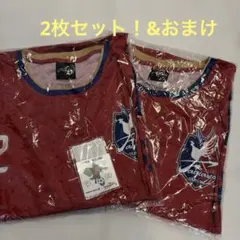 2026年最新】ファジアーノ岡山応援ユニフォームの人気アイテム - メルカリ