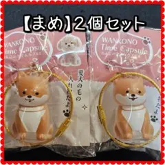 わんこのタイムカプセル　まめ　柴犬　２個セット