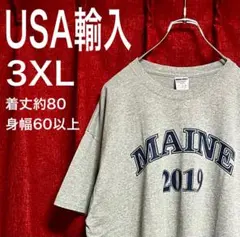 美 アメリカ古着 地名T スーベニアTシャツ ライトグレー 3XL 大きいサイズ