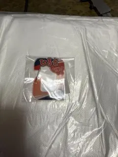 埼玉西武ライオンズ　齋藤大翔
