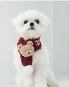 【完売品】ベビモコベアマフラー　ジェラートピケ