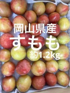 岡山県産　自然栽培　すもも　プラム　約1.2kgのサムネイル