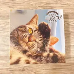 2025年最新】日めくりニャンコの人気アイテム - メルカリ