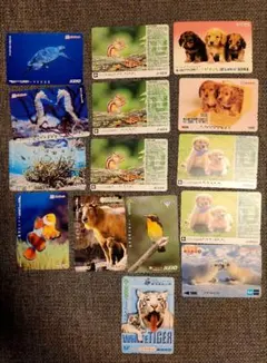 Item thumbnail for item e5ca63c7-1081-482f-8ed1-95e4364b4fb0