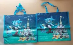 美品　ディズニーショッピングバッグ　チャック付き二枚セット