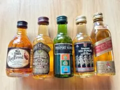 2026年最新】ワイルドターキー ミニの人気アイテム - メルカリ