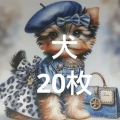 カトレアさん様 リクエスト 3点 まとめ商品