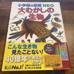 Item thumbnail for item fc25f5de-3aab-447c-93f9-0ccca28859e7