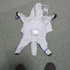 Item thumbnail for item 74c5e254-0787-49c7-9540-2e37eef90a51