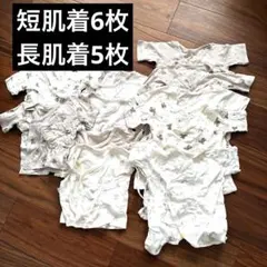 新生児肌着　短肌着6枚　長肌着5枚　くま　たまひよ　アニマル　綿100%