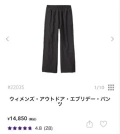 Patagonia メンズ・アウトドア・エブリデー・パンツ L PIBL - メルカリ