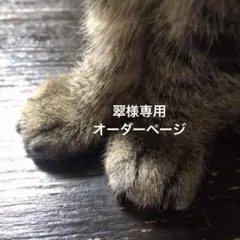 ミニチュアトレー 5.0×3.0 6個セット - メルカリ