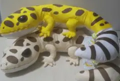 Item thumbnail for item d641541c-c646-429c-8c32-543d09ec815c