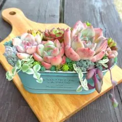 しろくま様 リクエスト 2点 まとめ商品