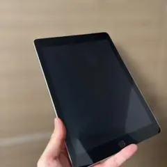 Apple iPad Mini5 ブラック セルラーモデル【ジャンク】 美品 ジャンクApple iPad mini 第5世代セルラーブラック 表示不良