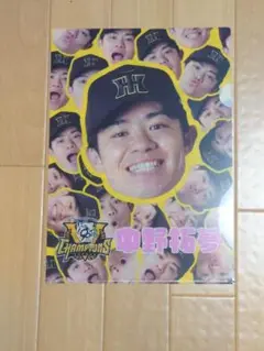 阪神タイガース　シークレット顔柄クリアファイル中野拓夢選手