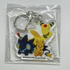 デンリュウ　パモット　レントラー　アクリルキーホルダー　ポケセンオンライン