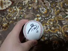 オリックスバファローズ 山岡泰輔 直筆サインボール 背番号13