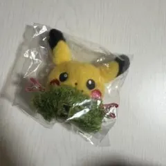 韓国 ポケモン 30周年 ポップアップ ヘアピン ピカチュウ - メルカリ