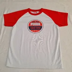 【PUMA/プーマ】ラグランスリーブ　半袖　Tシャツ プラT　プラシャツ　140