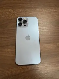 iPhone 13 Pro MAX 256G