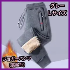 ジョガーパンツ グレー L 裏起毛 ズボン 防寒 極暖 ボア 厚手 男女兼用 ⑤