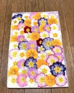 とみおん@プロフ必読様 リクエスト 2点 まとめ商品