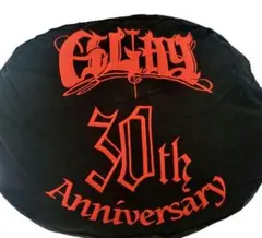 2026年最新】glay ズラー クッションの人気アイテム - メルカリ