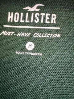 新品未使用ホリスターモスグリーンロングスリーブMサイズ薄手カットソー素材