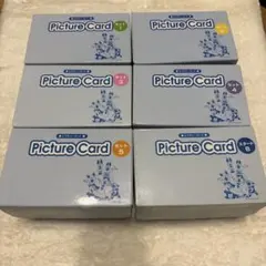 Picture Card ピクチャーカード 6箱セット 知育玩具