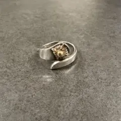 Item thumbnail for item 96a376f8-170c-42af-bf7f-7f538ac48b61