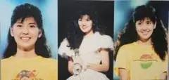 南野陽子写真Lサイズ11枚
