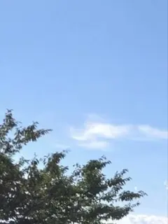 CHANEL 2023年 ホリデー限定 チャーム ココマーク４個